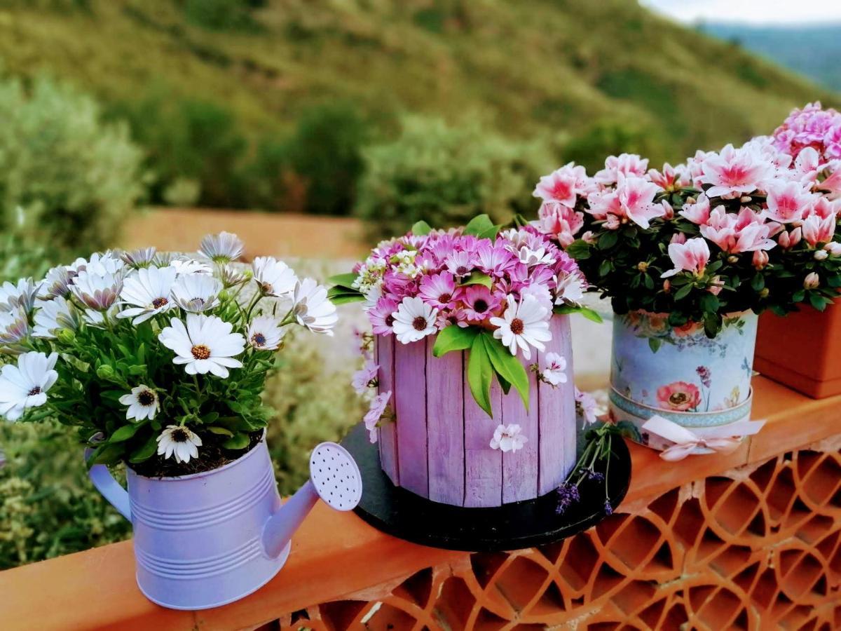 Villa Verde チェファル エクステリア 写真